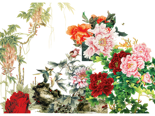 國色天香，優雅綻放 解析《牡丹花》PNG免摳圖素材的藝術價值與應用場景