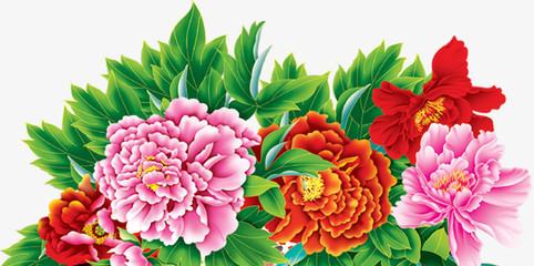 牡丹花開富貴圖 免費高清PNG素材，點綴你的創意設計